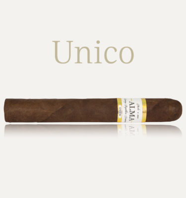 Présentation du Cigare Alma Cigarros Unico